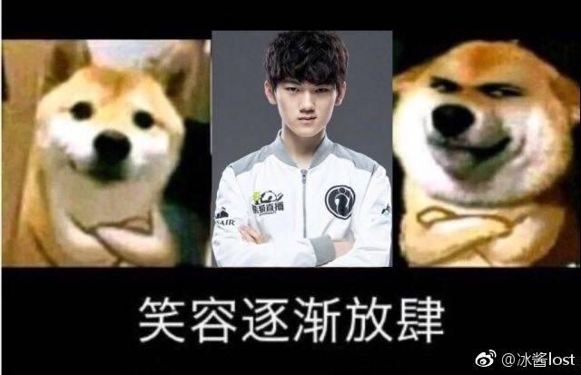 小蜘蛛需要 小蜘蛛需要